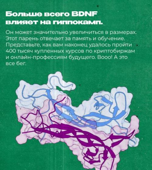 Не устанем повторять, что спорт мегаполезен для поддержания здоровья наших кукушечек. 03