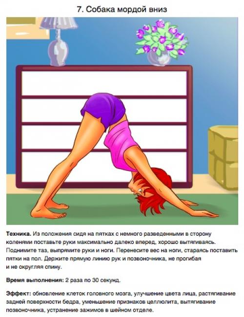 Состояние позвоночника и кровообращение в области малого таза - это основа женского здоровья. 06