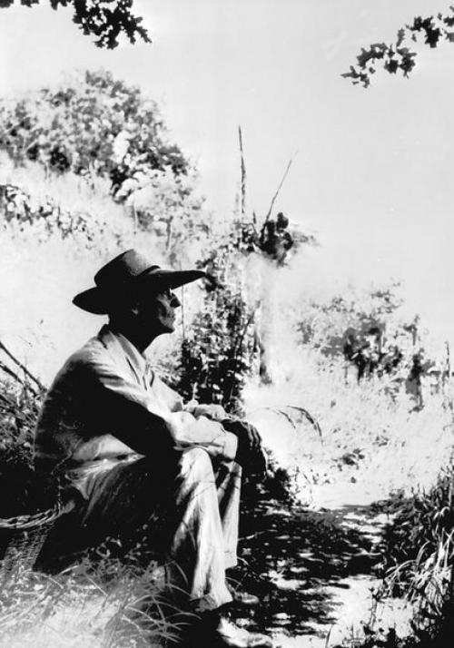 Укрощение человека, его развитие от гориллы к существу культурному проходит долгий, медленный путь.