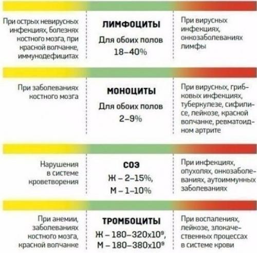 Расшифровка анализов крови с нормами.