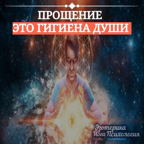 Прощение - это гигиена души. Прощение - это гигиена души.