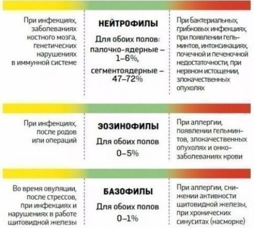 Расшифровка анализов крови с нормами. 02