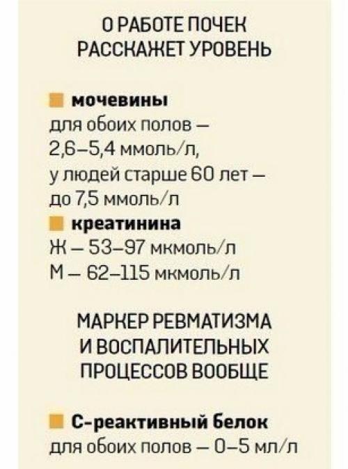 Расшифровка анализов крови с нормами. 05