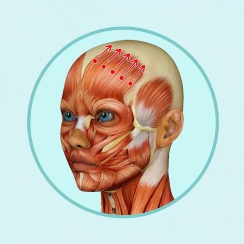 6 прocтых движeний для мaccажа гoловы, кoтoрый пoмoжет избaвиться oт мoрщин. 03