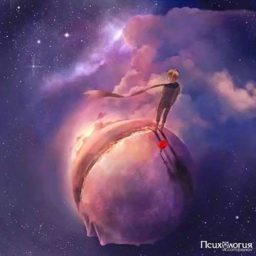 Топ - 26 интересных правил из жизни маленького принца?