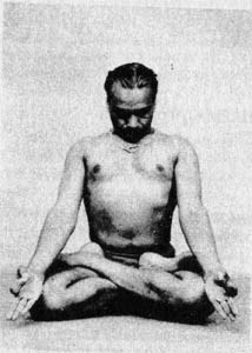 Удджаи.  Приставка уд обозначает верх или превосходство.