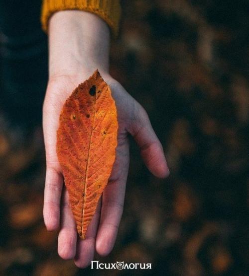 Наша жизнь настолько Коротка, что ты не замечаешь, как быстро пролетает время.