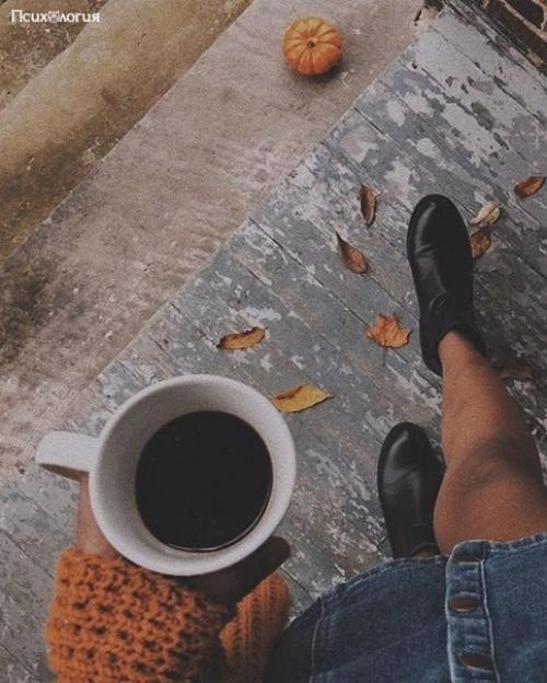 Xорошо, что есть осень, она нежно и аккуратно готовит нас к холодам.