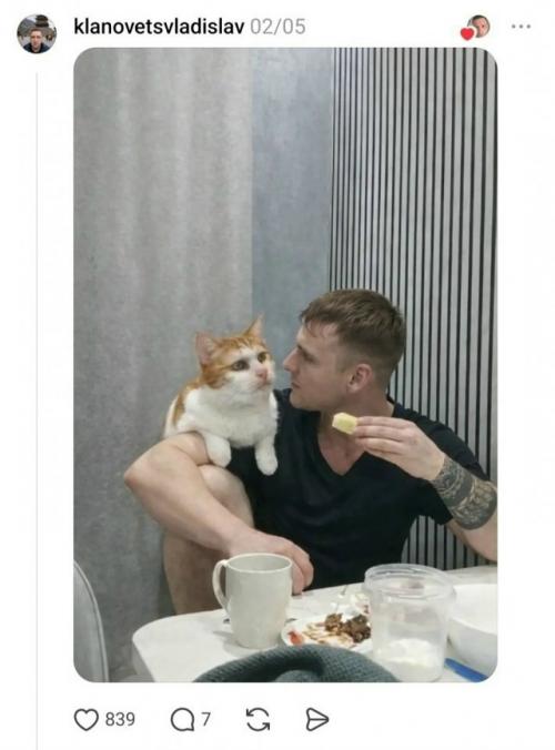 Творческий фотошоп в действии: парень попросил развернуть кошку к нему лицом, и сеть выдала шедевры юмора. 01