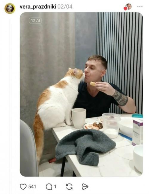 Творческий фотошоп в действии: парень попросил развернуть кошку к нему лицом, и сеть выдала шедевры юмора. 04