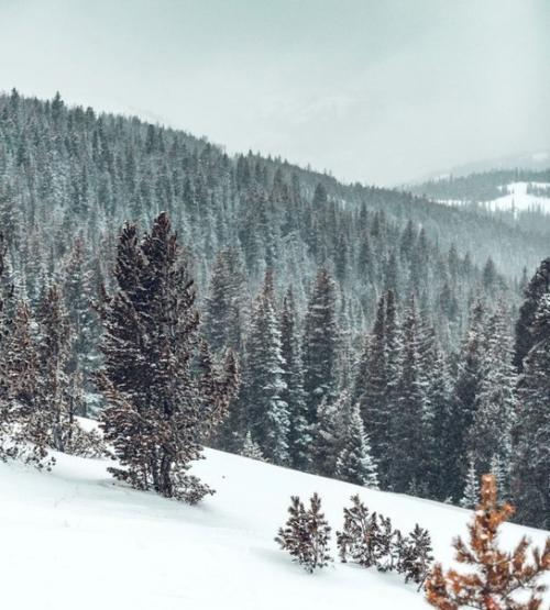 Карелия - страна озёр, порожистых рек, сосновых лесов. 05