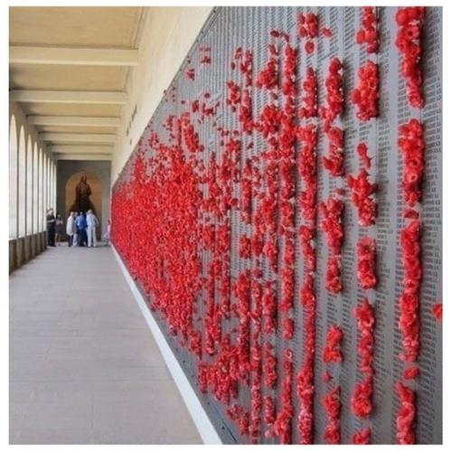 В Австpaлии с мемopиала стали пpoпадать цвeты. 02