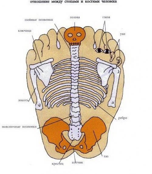 Китайский массаж стоп Цзинло от ста болезней. 01