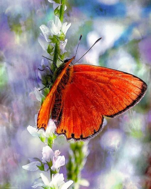 То, что мы сделали для себя, умирает вместе с нами, то, что мы сделали для других и для мира обретает бессмертие. 03