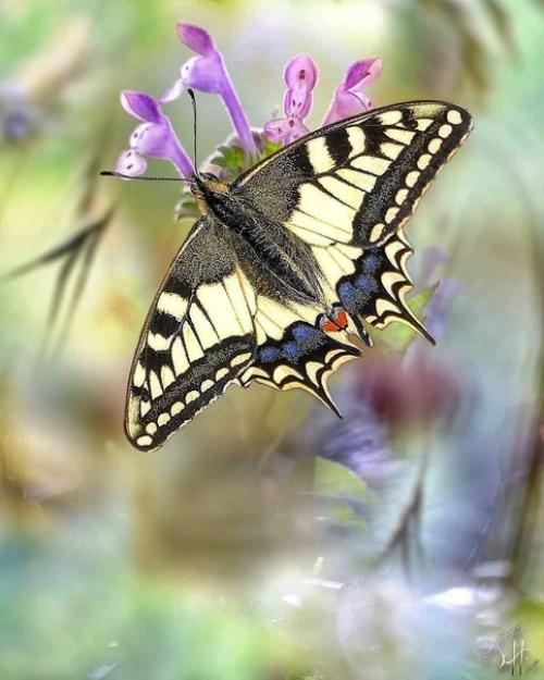 То, что мы сделали для себя, умирает вместе с нами, то, что мы сделали для других и для мира обретает бессмертие. 01