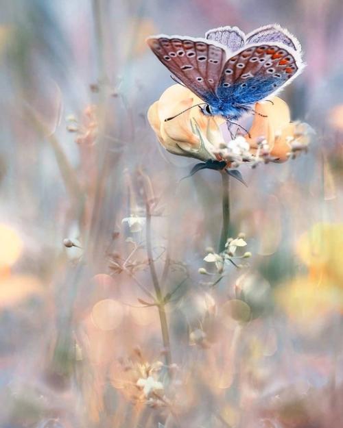 То, что мы сделали для себя, умирает вместе с нами, то, что мы сделали для других и для мира обретает бессмертие. 05