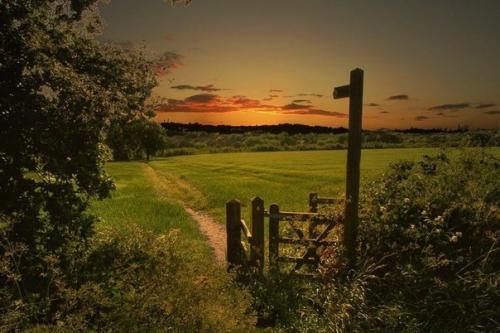 Семь убеждений по жизни.