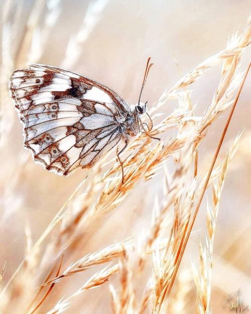 То, что мы сделали для себя, умирает вместе с нами, то, что мы сделали для других и для мира обретает бессмертие. 02