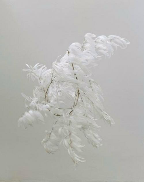 Семь внутренних законов для обретения гармонии.

