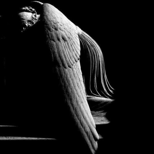 Самый главный страх в нашей жизни - это страх смерти или его оборотная сторона - страх жизни.