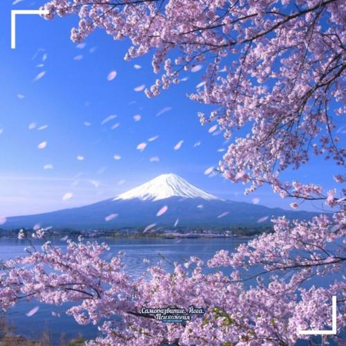 Успокойся.  Вдохни.  Будет все хорошо.