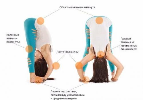 Падахастасана (глубокий наклон с захватом ступней). 01