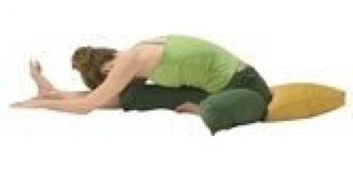 Мягкая медитативная практика инь - йоги от Сары пауэрс. 05