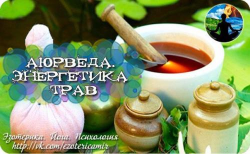 Аюрведа.  Энергетика трав.