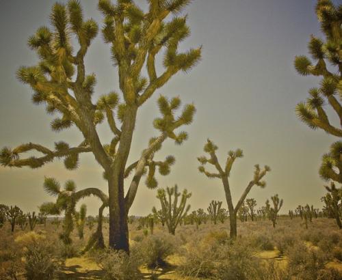 Не навязчиво или ненавязчиво. Ненавязчиво о навязчивостях: как преодолеть невроз навязчивости.