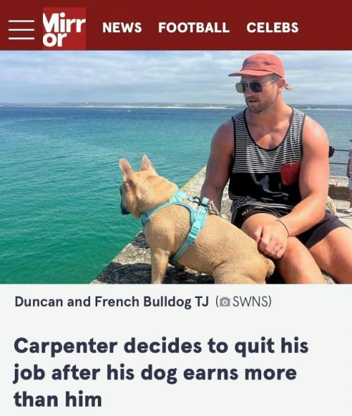 Плотник из великобритании с работы из-за своего французского бульдога ушёл. 01