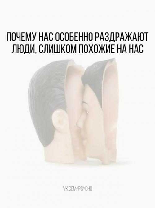 Почему нас особенно раздражают люди, слишком похожие на нас.

