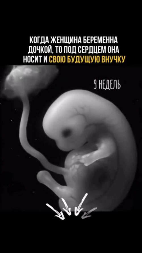 Один из самых впечатляющих фактов эмбриологии касается внутриутробного развития девочки. 02