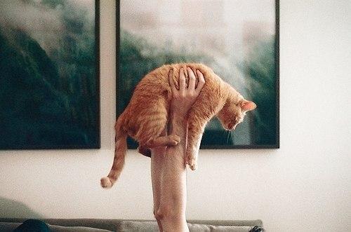 14 способов быстро снять стресс.