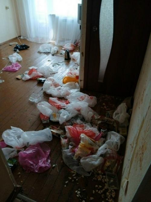 Квартиранты из ада: почему история о разгромленном съемном жилье и наглой арендаторше взорвала чаты недвижимости. 01