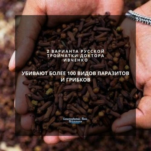 2 варианта русской тройчатки доктора ивченко: убивают более 100 видов паразитов и грибков.
