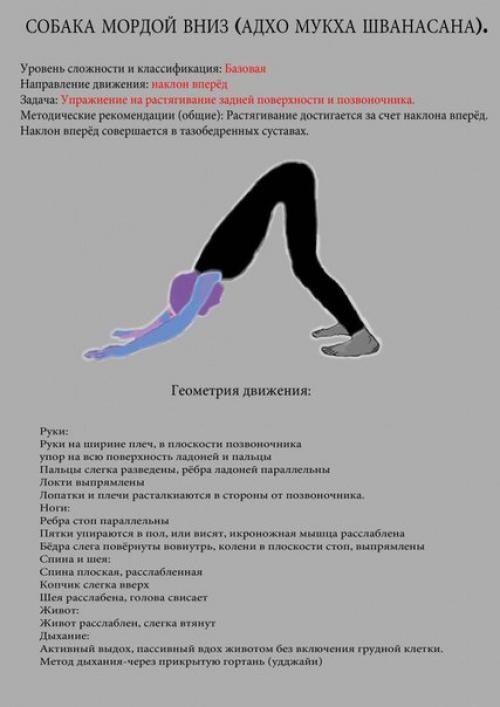 Комплекс асан с подробным описанием. 01