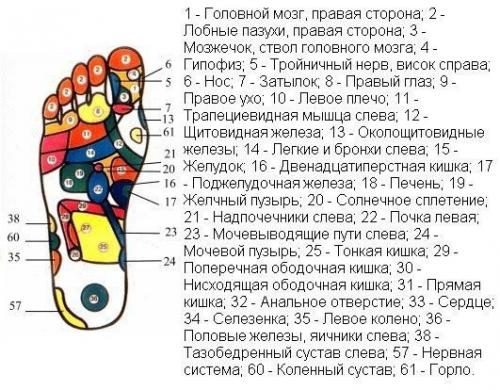 Как укрепить здоровье с помощью массажа стоп.