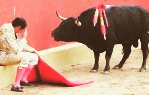 Стоит задуматься.   На этой известной фотографии изображeн конец карьеры матадора альваро мунеро.