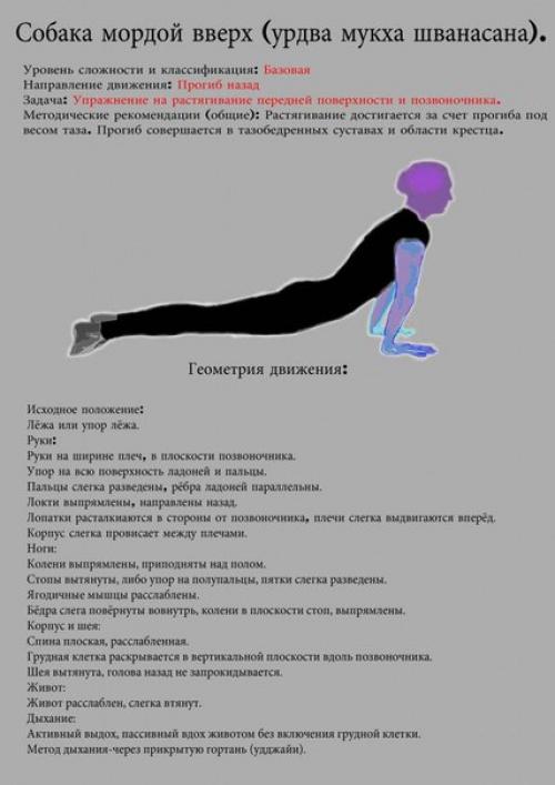 Комплекс асан с подробным описанием. 04