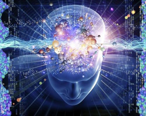 Когда наш мозг способен на максимум проявлять работоспособность: