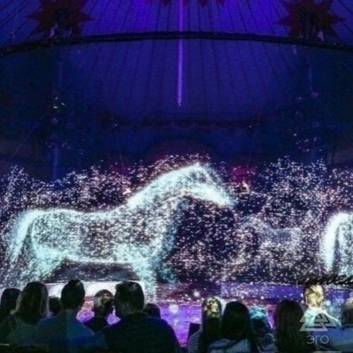 Животные в немецком цирке ронкaлли, которых зaменили на гологрaммaмы. 01