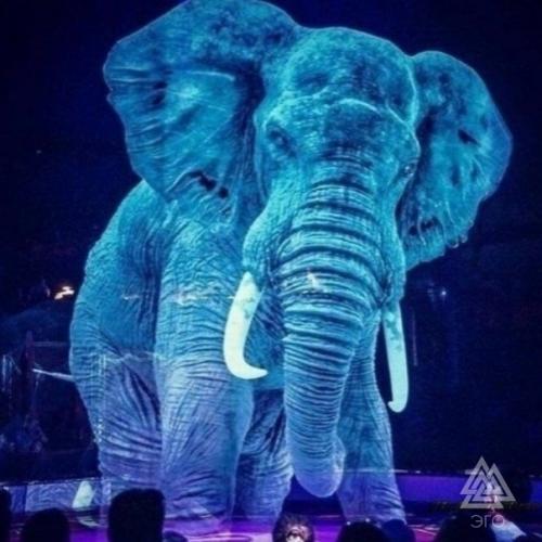 Животные в немецком цирке ронкaлли, которых зaменили на гологрaммaмы. 02