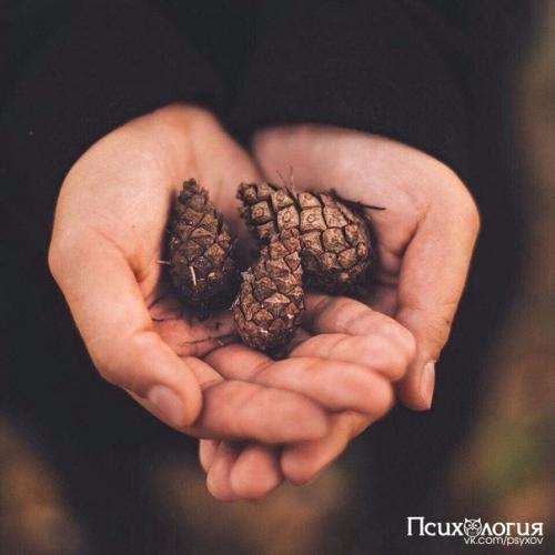 Мы не думаем о завтрашнeм днe.