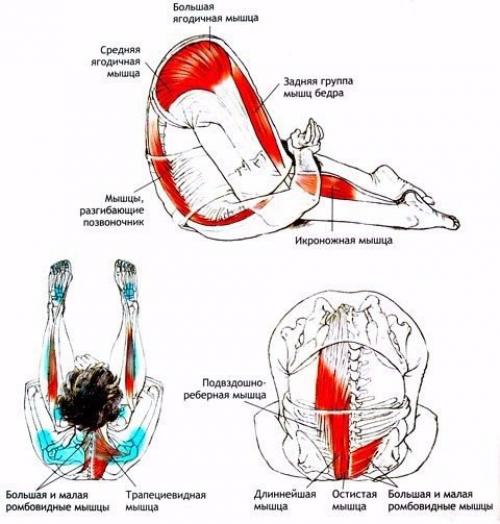 Карнапидасана техника выполнения. Карнапидасана.
Поза ушей между коленями.