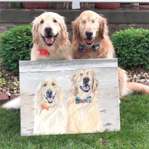 История дружбы этих двух золотистых ретриверов облетела интернет и растрогала тысячи людей по всему миру. 03