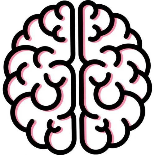 В книге американских авторов современные представления о работе мозга изложены.