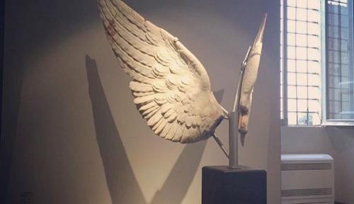 Психологические права человека.