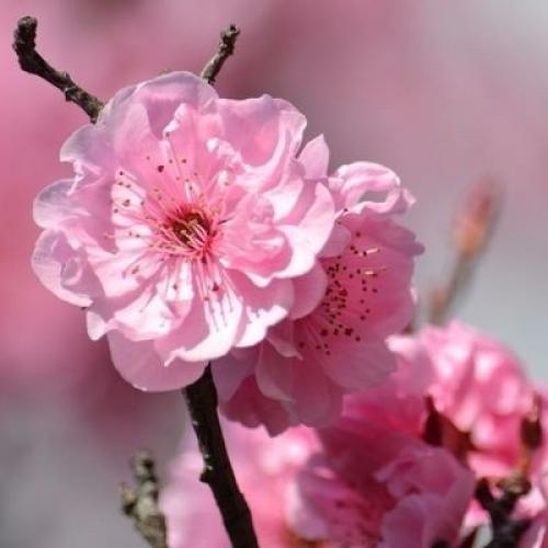 Я считаю, что женщиной быть Легче, чем мужчиной!