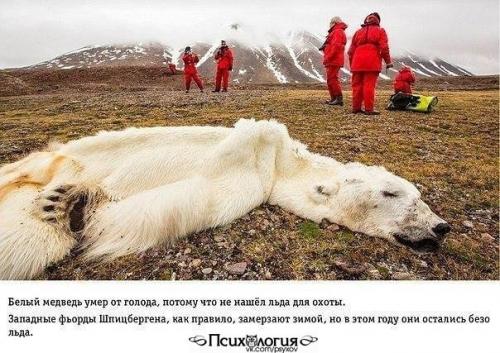 Избавление от накопившегося за день негатива. 09 Избавление от накопившегося за день негатива. 09