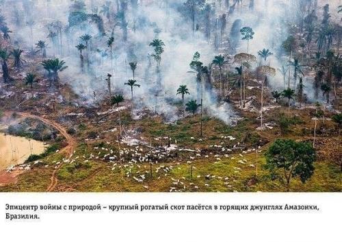 Избавление от накопившегося за день негатива. 08 Избавление от накопившегося за день негатива. 08